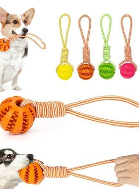 Bolas de goma interactivas con cuerda para mascotas, juguete
