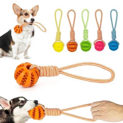 Bolas de goma interactivas con cuerda para mascotas, juguete
