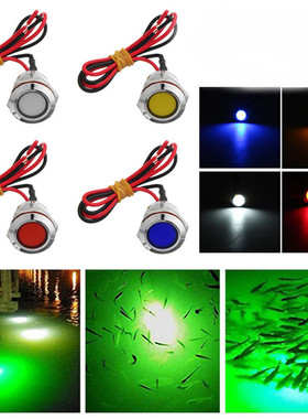 Luz LED subacuática impermeable para barco, 6V, 19mm, IP67,