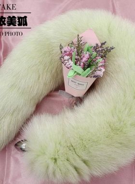 Lim?o a?úcar amor beleza raposa cauda feito à m?o destacá