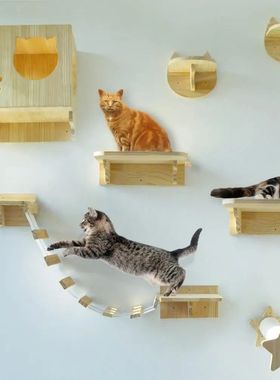 Rede de parede para gato Escalada Cat Tree Combina??o de cor
