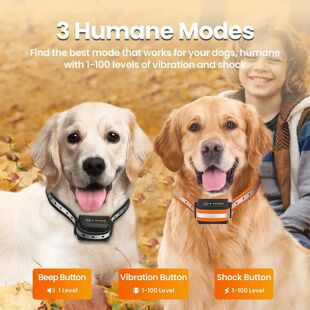 Robeco-Collar de ennamiento eléctrico para perros, disposit