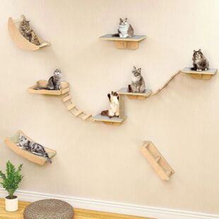 Wall Mounted Cat Escalada Escada, poleiro Plataforma, Saltan