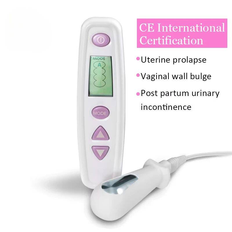 Kegel Exerciser Vaginal TENS EMS Electric Floor Pelvic Train