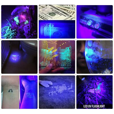 Mini linterna de luz negra UV de mano, Detector de orina de