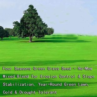Four Seasons Green Turf Grass Seeds , ?Evergreen Grass Seed