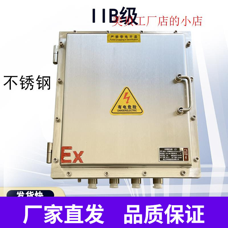 防爆箱不锈钢防爆配电箱检修电柜接线箱控制网络机柜IIC/B正厂家