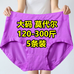 女300 5条 莫代尔内裤 超大码 200斤加肥胖mm竹纤维中老年妈妈短裤