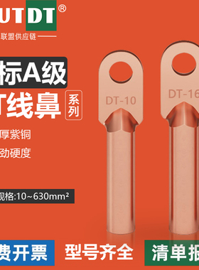 国标A级DT铜鼻子紫铜线耳接线端子10/16/25/35/70/95/150/185/240