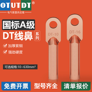 国标A级DT铜鼻子紫铜线耳接线端子10/16/25/35/70/95/150/185/240