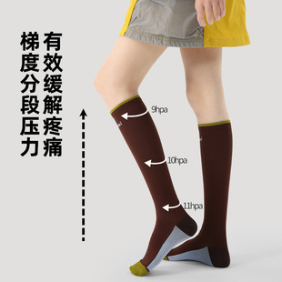 文艺复兴专业压力运动健身跑步压缩显瘦小腿袜子女瑜伽普拉提袜