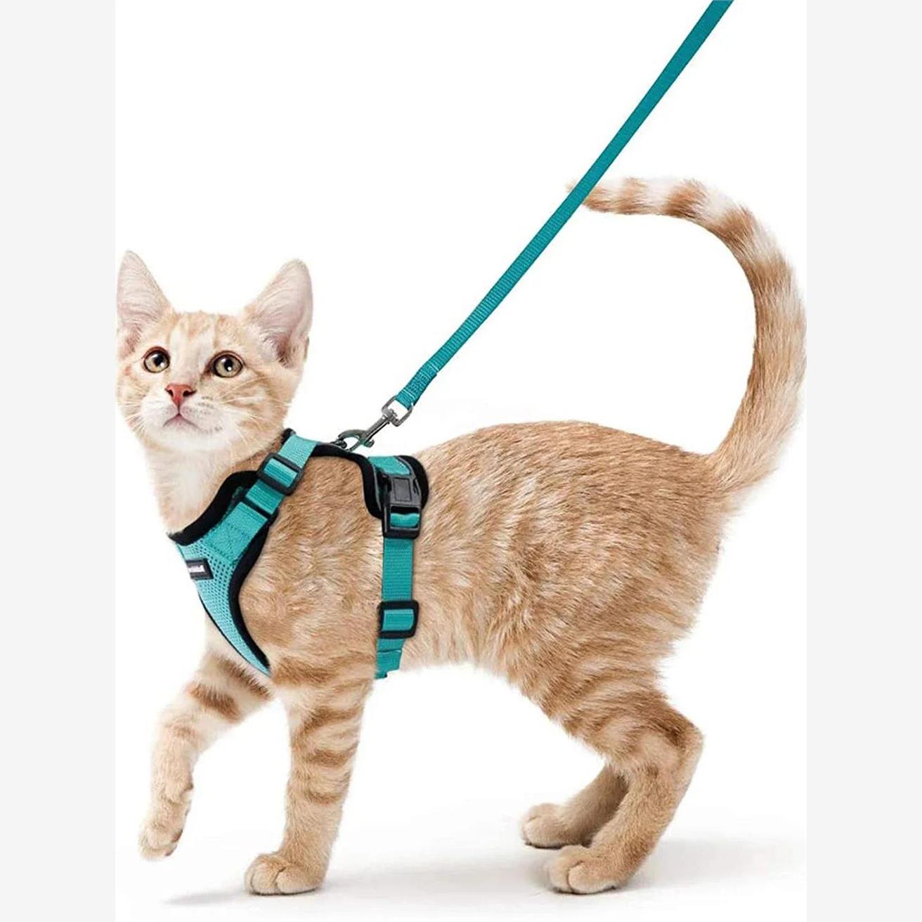 Cat Harness and Leash for Walking,Escape Proof Soft Adjustab