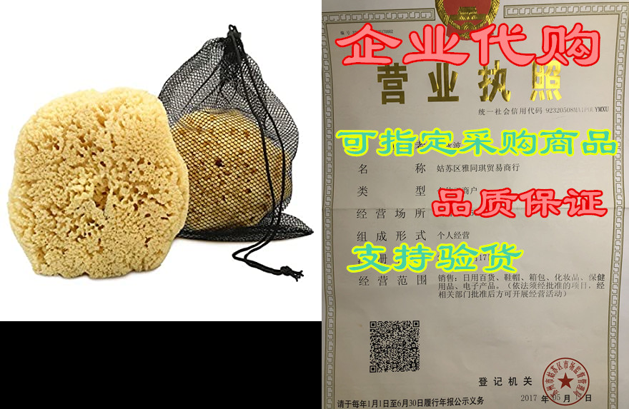 real sea sponge for men - extra large 6-7, totally natu