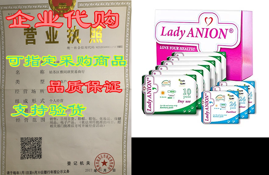 Lady Anion Sanitary Day Use Pads and Panty Liners， Certif-封面