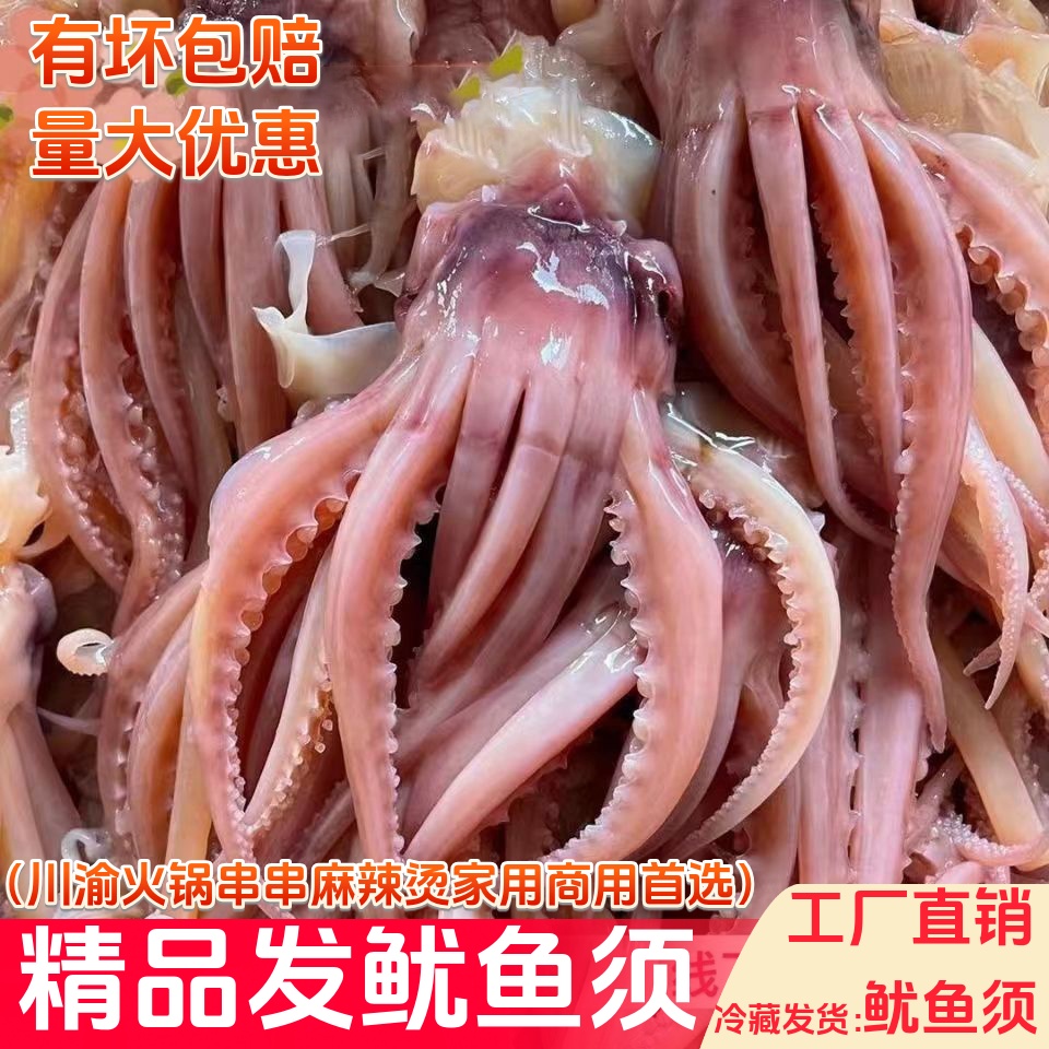 鱿鱼须5斤装重庆火锅串串麻辣烫新鲜冷冻食材发鱿鱼商用家用批发