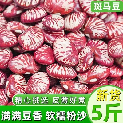 陕北斑马豆大腰豆5斤农家自产花芸豆皇帝豆大肾豆饭豆扁豆紫芸豆