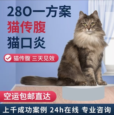 28Oi印度高浓度猫口炎猫传腹干性湿性杯状冠状腹水膜炎大肚子口服