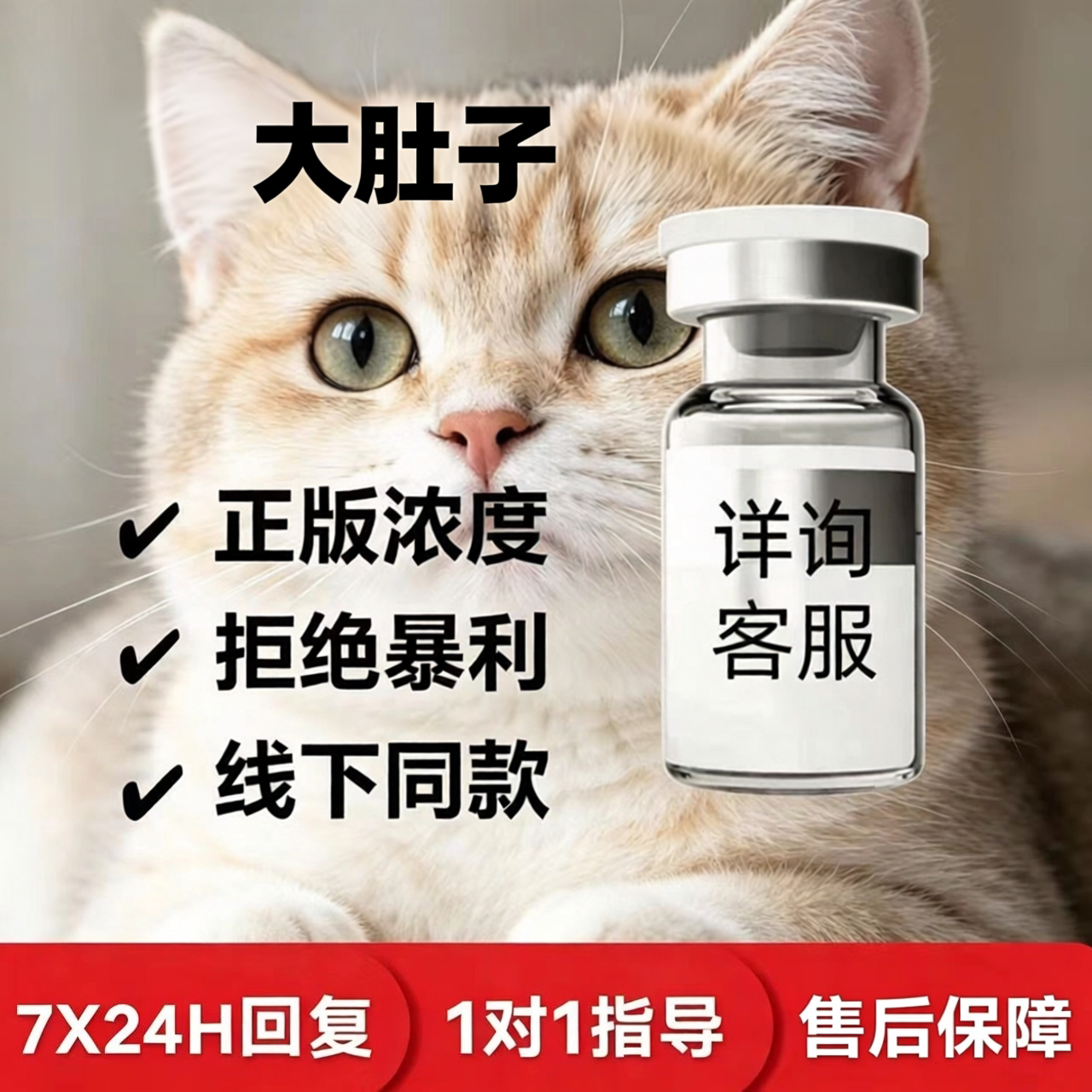 猫干湿性大肚子腹水抑制剂针剂油剂口服片剂大肚子营养液
