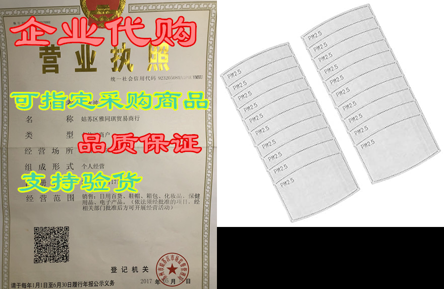 debrief me pm2.5 filters (30) pack filters usa certified