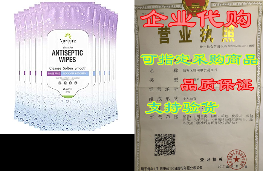 antiseptic sanitizing wipes (10 packs of 25 wipes) | 250