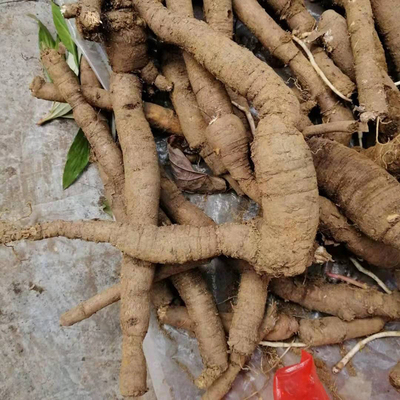 贵州野生隔山消500g克包邮 新鲜隔山撬 隔山牛皮消 山瓜蒌中药材