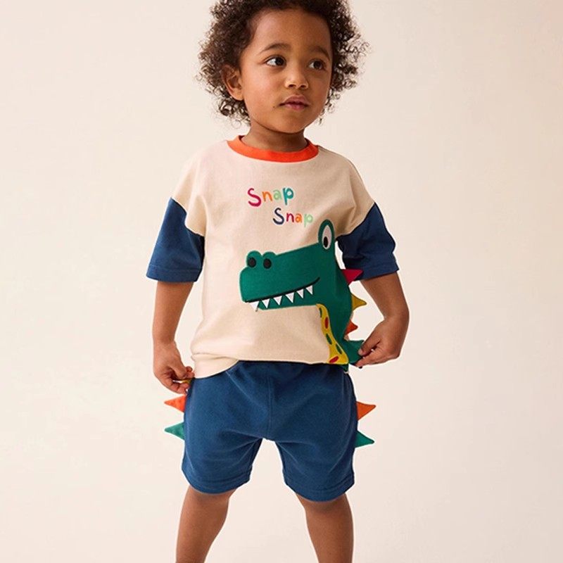 外贸男童立体恐龙套装T恤夏季新款欧美中小童休闲短袖两件套短裤6