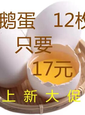 散养粮食土鹅蛋新鲜孕妇10送2个正宗农家初生土鹅蛋家养鹅蛋现发