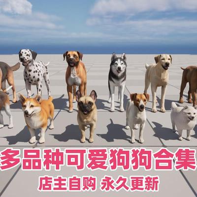 UE5虚幻4 14种逼真动物犬类狗带动画模型 Dogs Big pack 4.20-5.2