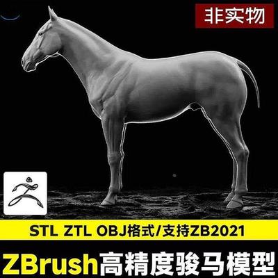 zbrush高精度写实马骏马obj基础体3d打印模型动物zb马白马stl模型
