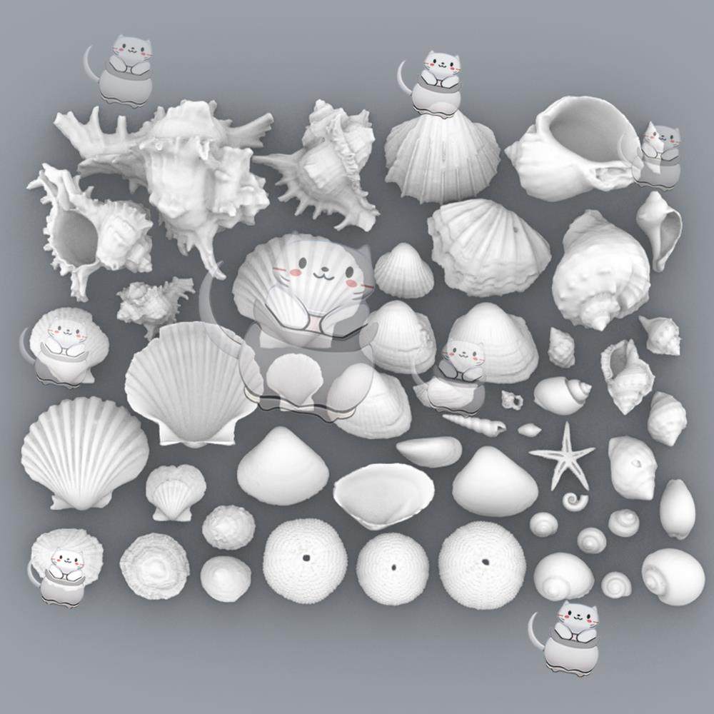 贝壳 海螺 扇贝 Blender犀牛建模rhino/C4D/3Dmax/maya模型obj