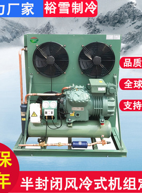 Condensing Unit 定制20匹风冷式制冷机组冷藏冷冻冷凝机组