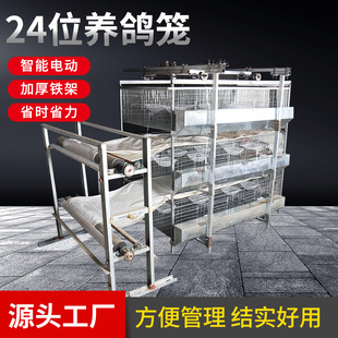 热镀锌加厚24位养鸽笼自动清粪机养殖场用12v驱动养殖设备全自动