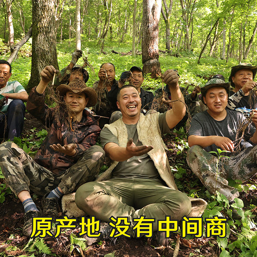 关东大海长白山林下干参整枝炖汤