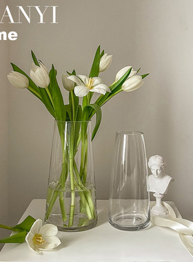 网红花瓶摆件客厅插花玻璃ins风北欧郁金香水培鲜花装饰小众摆件