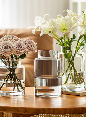 花瓶玻璃摆件客厅插花透明轻奢高级感水养水培百合玫瑰宽口芍药大