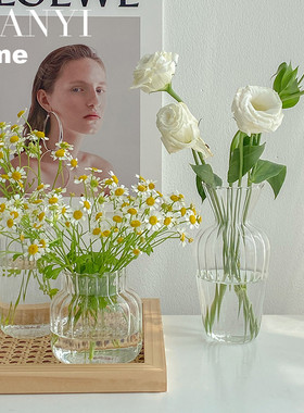 网红ins风透明玻璃水培水养小花瓶创意插花干花鲜花客厅摆件简约