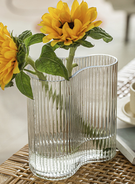 花瓶摆件客厅插花玻璃透明水养ins北欧简约水培玫瑰高级感大口径