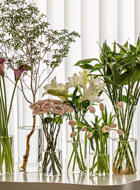 花瓶玻璃透明插花水养马醉木水培富贵竹直筒客厅摆件ins风高级感