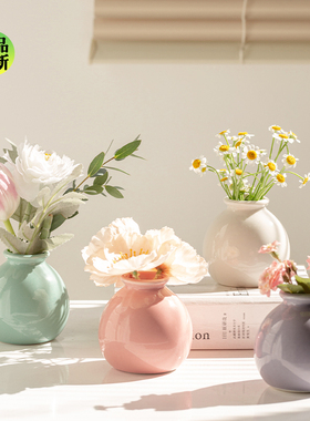 迷你小花瓶摆件客厅插花陶瓷白色水养鲜花ins风高级感简约小众