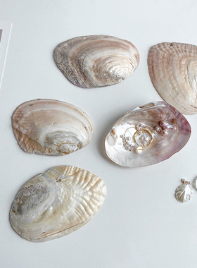 vase u*复古ins风天然贝壳盘桌面摆件家居装饰品收纳工艺拍摄道具