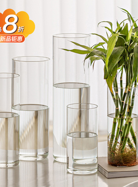 富贵竹专用花瓶摆件客厅插花透明玻璃高级感水养马醉木雪柳落地大