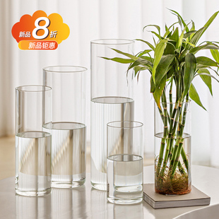 富贵竹专用花瓶摆件客厅插花透明玻璃高级感水养马醉木雪柳落地大