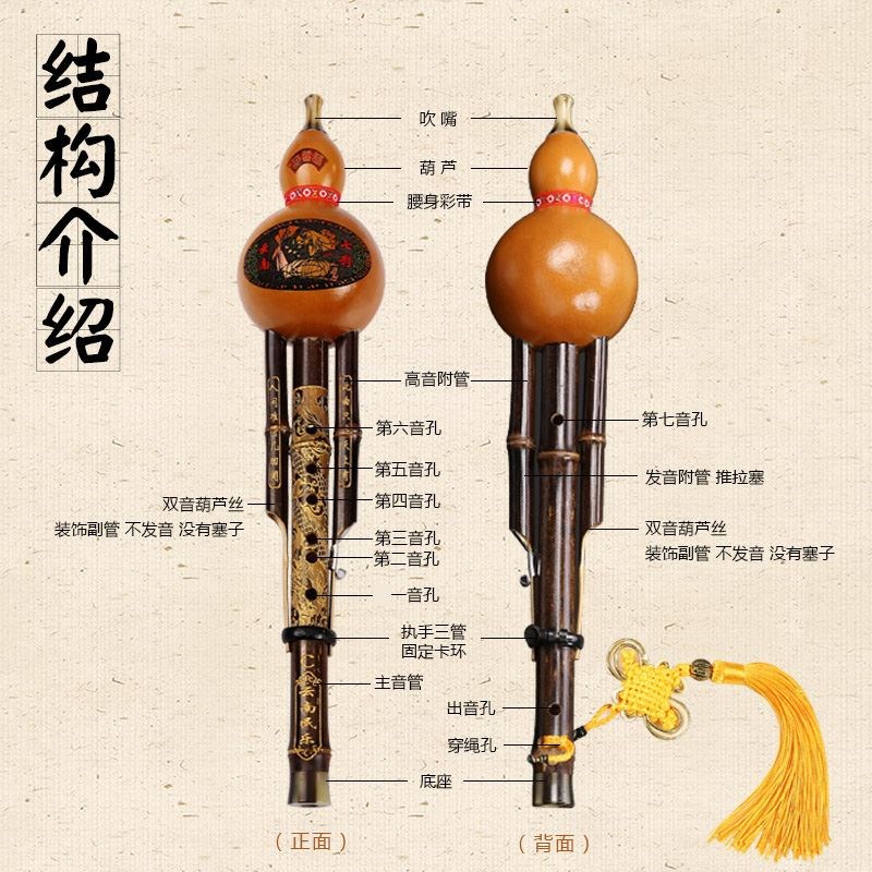 竹子双音演奏葫芦丝c调降b调初学儿童云南民族乐器大全.