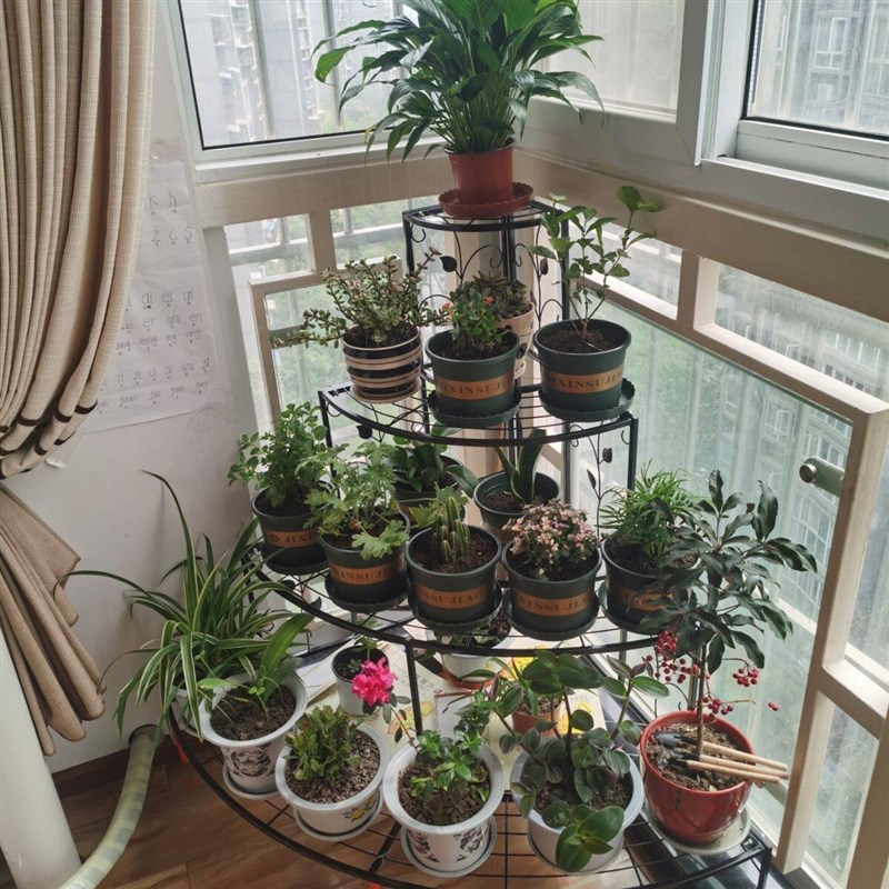 速发铁艺台转角花架子阶梯落地式墙角多层室内客厅三角形置物花盆