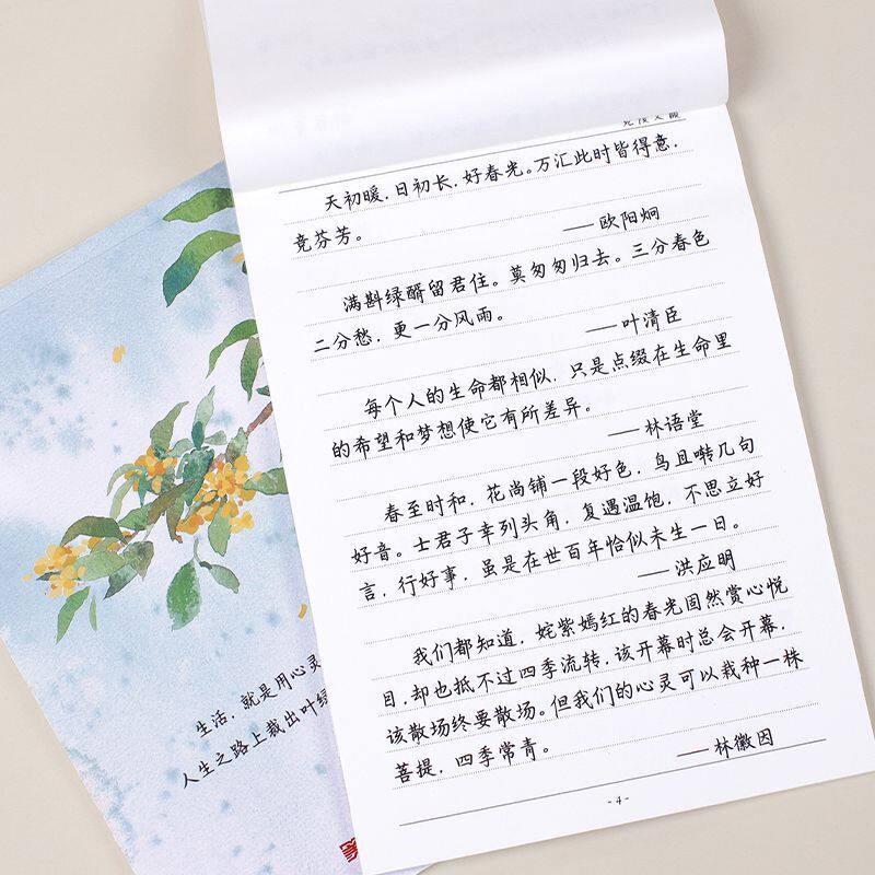 速发秋舫手写学生暑假练字正楷楷书高考中考标准规范字硬笔钢笔练