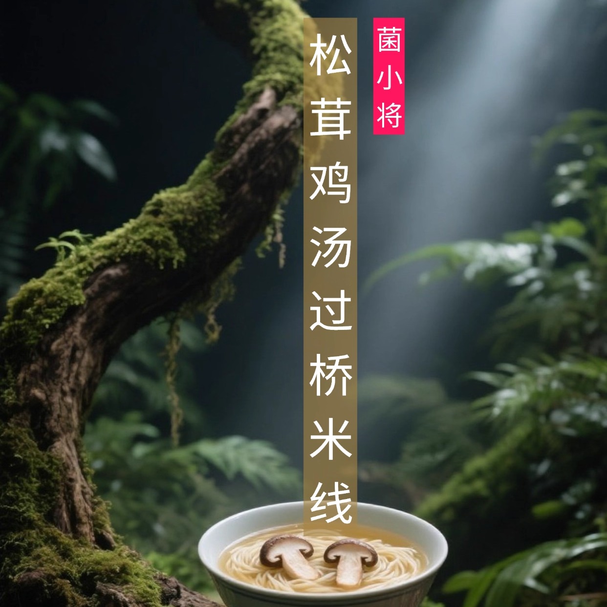 菌小将云南松茸鸡汤过桥米线孕妇无添加米粉旅游野生菌速食鲜米线