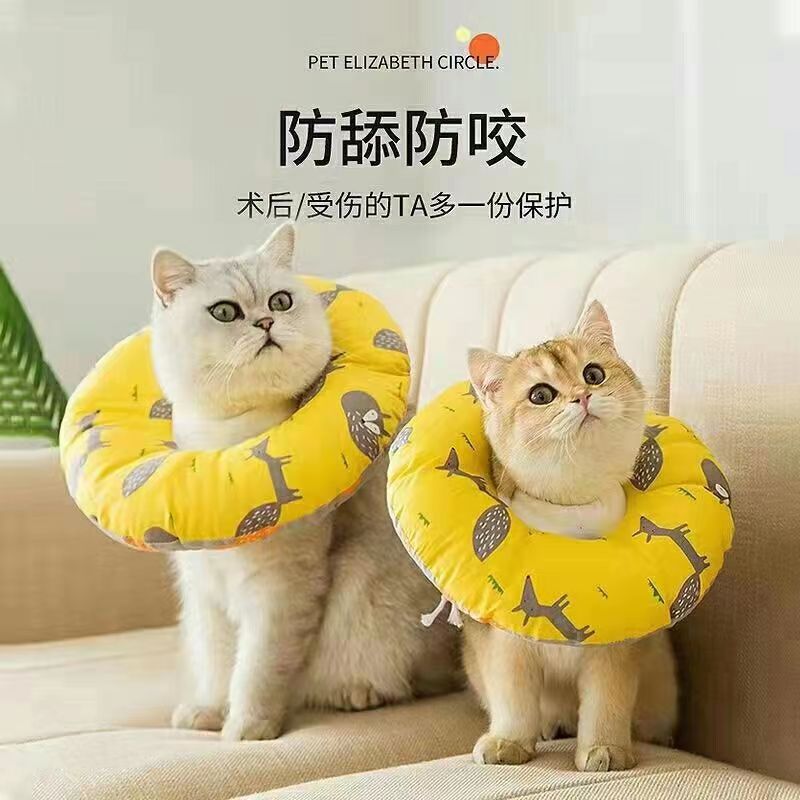 伊丽莎白圈猫咪项圈可调