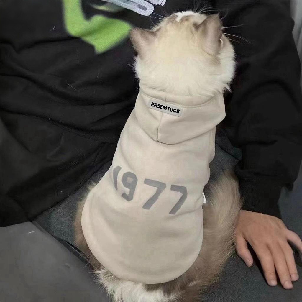 猫咪衣服防掉毛保暖可爱