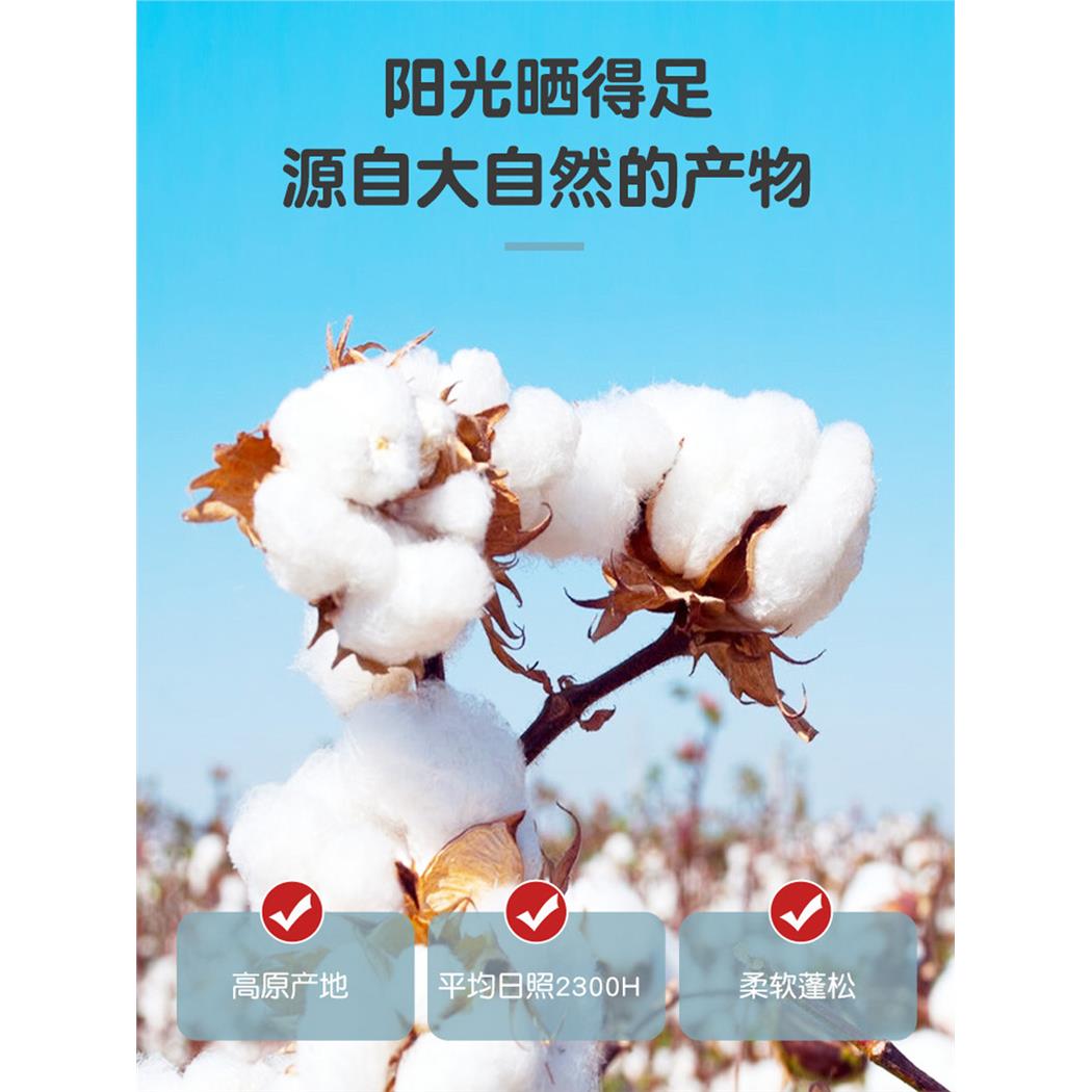 宝宝秋衣套装纯棉春秋款