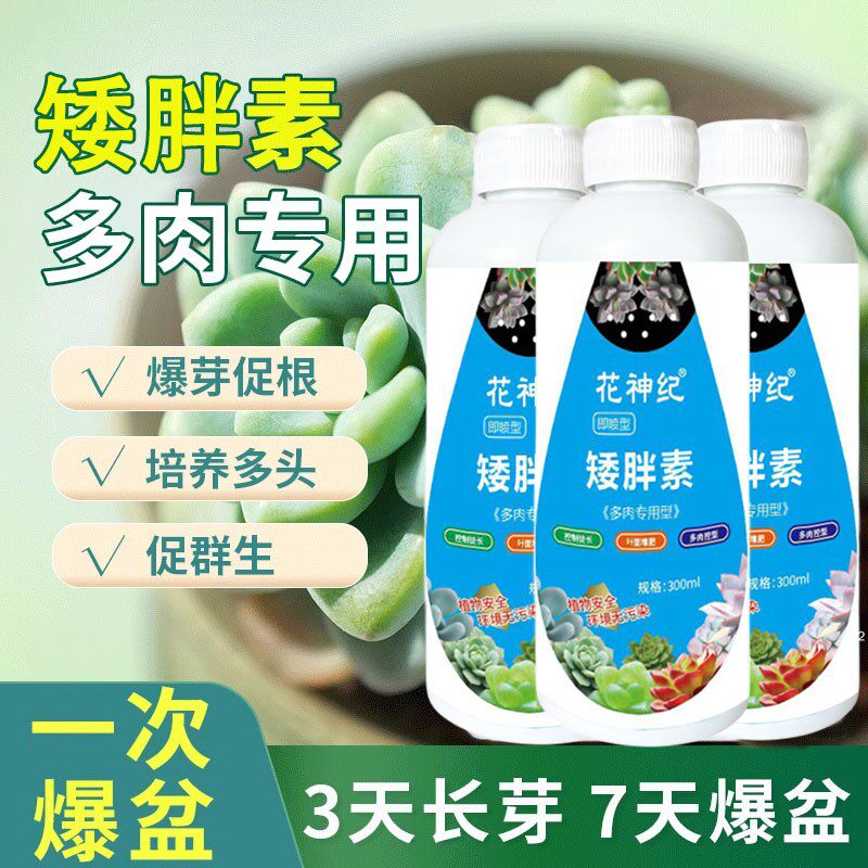 多肉矮胖素防徒长增肥上色矮壮剂桃蛋生石花盆栽通用浓缩营养液 - 实物图